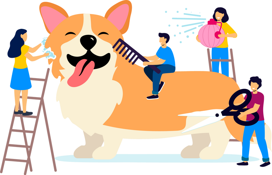 grooming dog