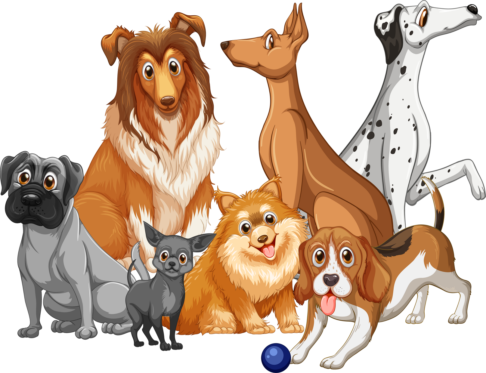 Group of dog breeds on white background